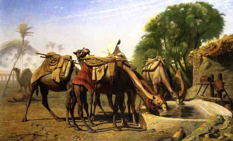 Жан-Леон Жером. Верблюды у поильного корыта.